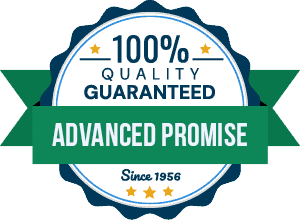 Advanced Promise Badge